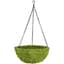 SuperMoss Small Woven Round Moss Basket in Display — thumbnail 2 of 2