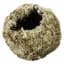 SuperMoss 4" Kokedama Sphagnum Ball Planter — thumbnail 2 of 2