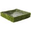SuperMoss 15" Propagation Tray Square — thumbnail 2 of 2