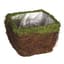 SuperMoss Medium Ventura Moss Deco Basket — thumbnail 2 of 2