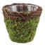 SuperMoss Small Deco Basket Vineyard Fresh Green — thumbnail 2 of 2