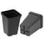 SunPack 2.5" Square Pot, Black — thumbnail 2 of 2