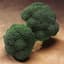 Broccoli, Gypsy Hybrid 1000 Seed Count — thumbnail 2 of 2