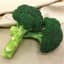 BROCCOLI, GREEN MAGIC 100M PERFORMAX TREATED — thumbnail 2 of 2