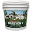 Marathon II Grass Seed 5# — thumbnail 2 of 2