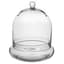 SSI 10" x 11 3/8" Terrarium Cloche — thumbnail 2 of 2