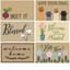 SSI 48pc Everyday Mat Assortment — thumbnail 2 of 2
