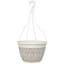 Grower Select 12in Tampa Hanging Basket Eggnog, Includes Cap Dish and Plastic Hanger, 36 per Case, .62 Gallon — thumbnail 2 of 2
