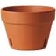 Southern Patio 6" Orchid Clay Pot — thumbnail 2 of 2