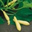 Squash, Fortune Farmore Treated 1000 Seed Count — thumbnail 2 of 2