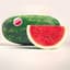 Watermelon, Sangria 5000 Seed Count — thumbnail 2 of 2