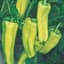 Peppers, Aruba Cubanelle 100 Seed Count — thumbnail 2 of 2