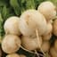 Turnips, Golden Ball - 1/2oz — thumbnail 2 of 2