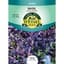 Basil, Purple Ruffles 175mg — thumbnail 2 of 2