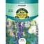 Hyssop 800mg — thumbnail 2 of 2