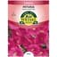 Petunia, Pink Supercascade 30 Seed Count — thumbnail 2 of 2