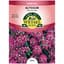 Alyssum, Royal Carpet 280mg — thumbnail 2 of 2