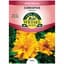 Coreopsis, Sunburst 470mg — thumbnail 2 of 2