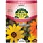 African Daisy Aurantiaca Mix 280mg — thumbnail 2 of 2