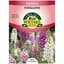 Foxglove, Foxy Annual 280mg — thumbnail 2 of 2