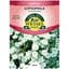 Gypsophila, Covent Garden 280mg — thumbnail 2 of 2