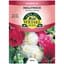 Hollyhock, Summer Carnival 280mg — thumbnail 2 of 2