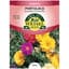Portulaca, Grandiflora Double Mix 175mg — thumbnail 2 of 2