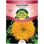 Sunflower, Sungold Dwarf 2 Grams — thumbnail 2 of 2