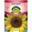 Sunflower, Sunspot Dwarf 2 Grams — thumbnail 2 of 2