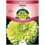 Zinnia, Envy 590mg — thumbnail 2 of 2