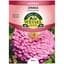 Zinnia, Luminosa Pink 590mg — thumbnail 2 of 2