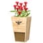 Woodlink Cedar Mason Bee House & Planter — thumbnail 2 of 2