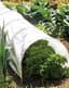 WSP 10'x1'6" Polythene Grow Tunnel — thumbnail 2 of 2
