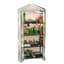 WSP 4 Tier Mini Greenhouse 5'Hx 2'Wx1'D — thumbnail 2 of 2