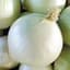 Onion, White Sweet Spanish 5000 Seed Count — thumbnail 2 of 2