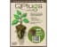 iHORT Q-Plug Cubes, bag of 100 — product photo