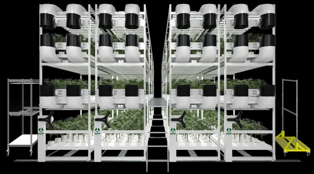 PIPP mobile vertical grow racks with integrated lighting and airflow over tiered benches