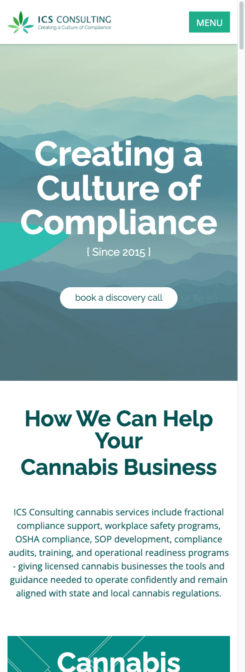 ICS Consulting website