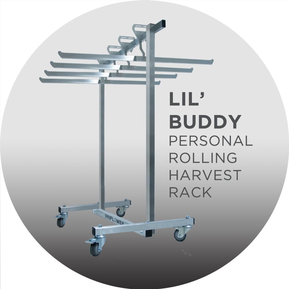 Lil Buddy with 21" J-Hangers (4) — product photo