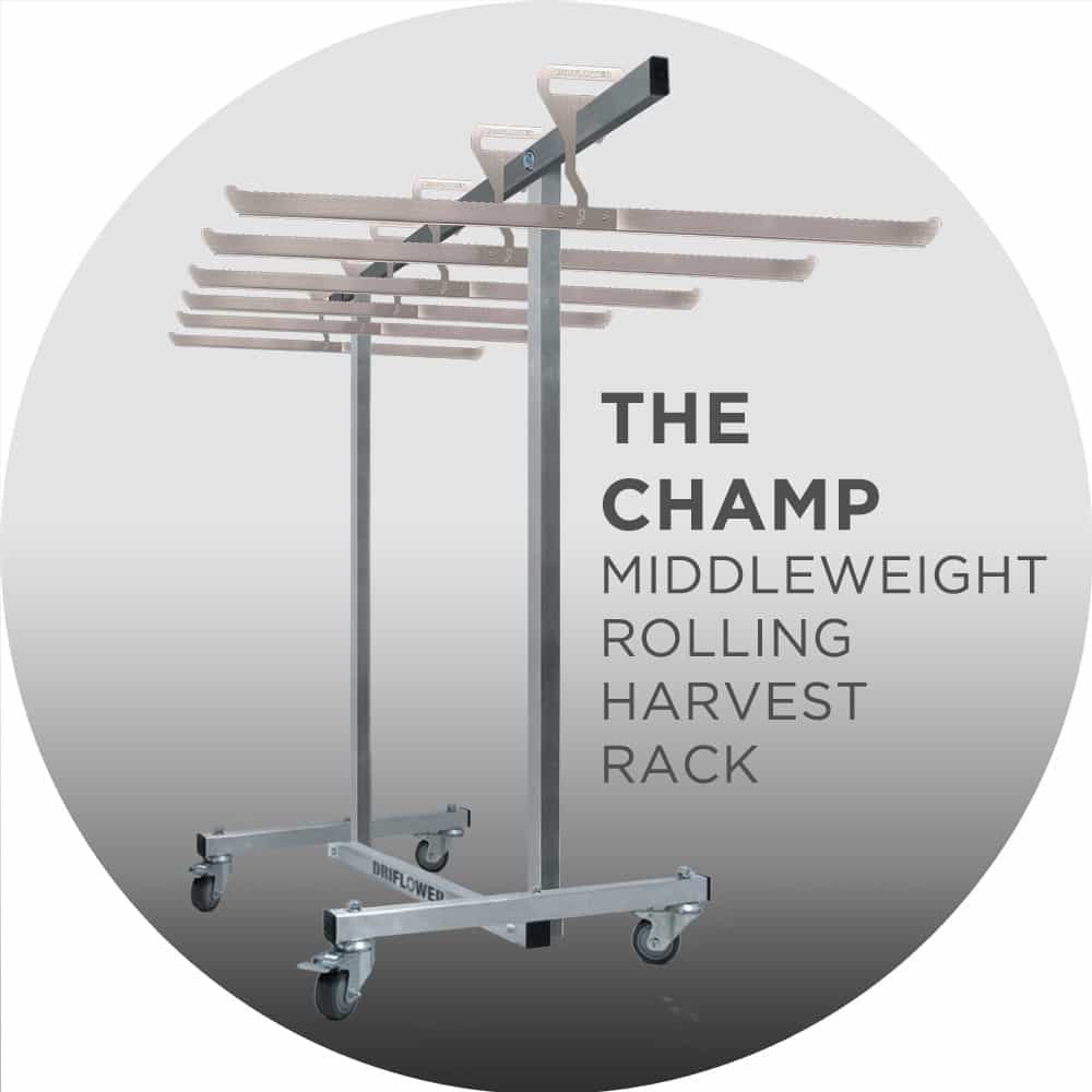 The Champ (a la carte)