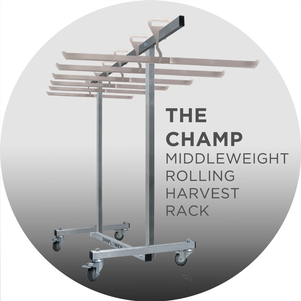 The Champ (a la carte) — product photo