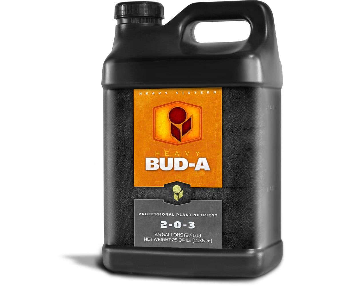 HEAVY 16 Bud A, 2.5 gal — product photo