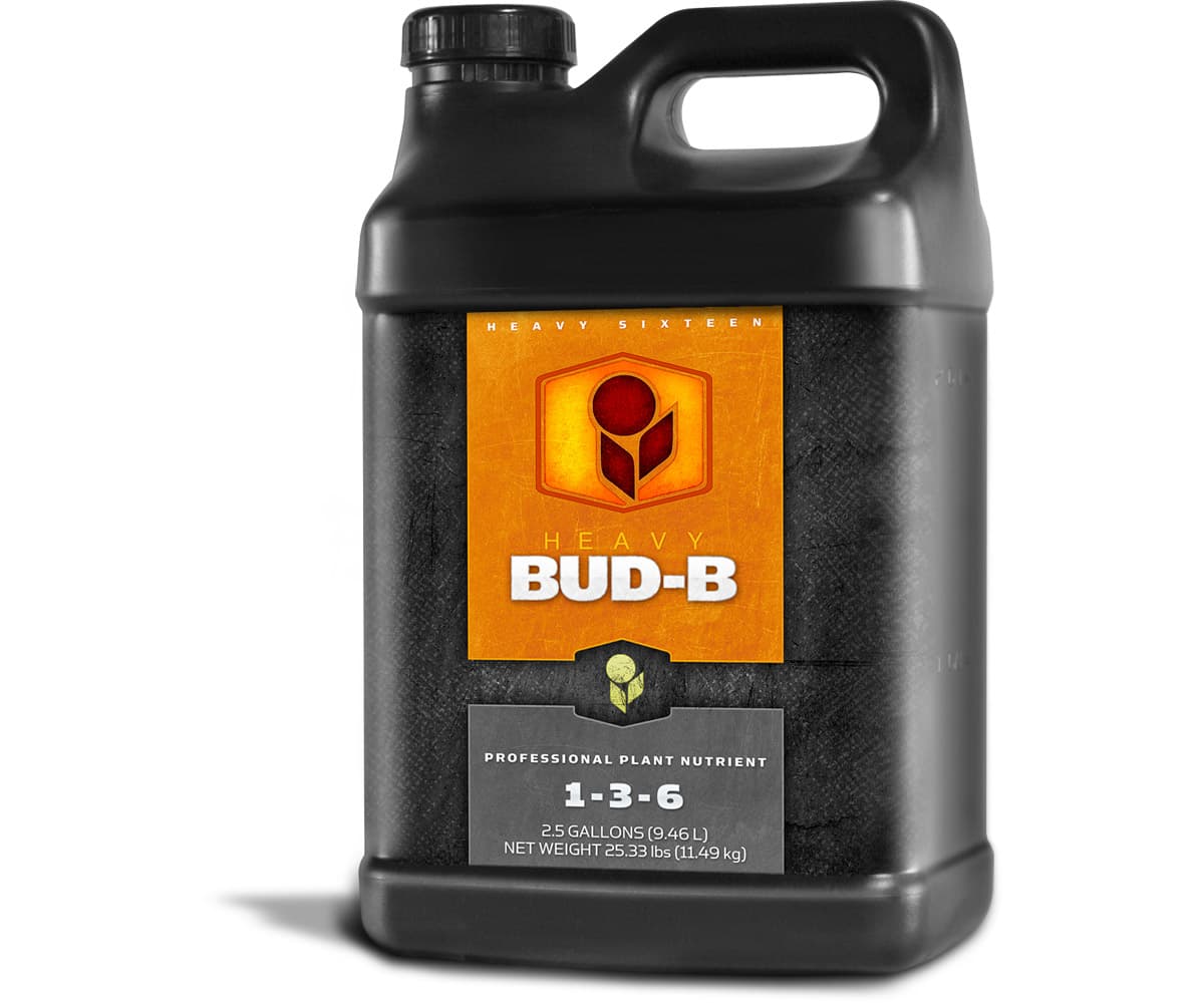 HEAVY 16 Bud B, 2.5 gal — product photo