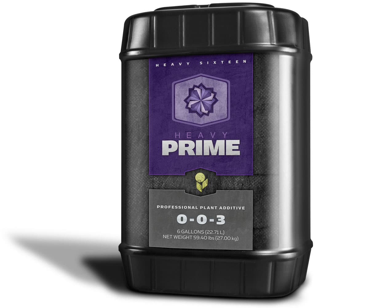 HEAVY 16 Prime, 6 gal — product photo