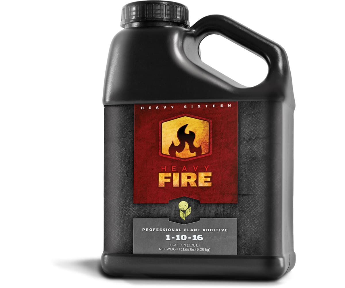 HEAVY 16 Fire, 1 gal — product photo