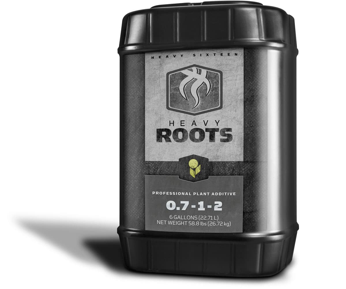 HEAVY 16 Roots, 6 gal — product photo