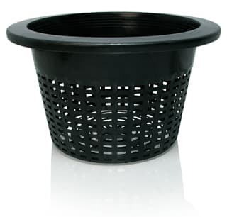 Wide Lip Bucket Basket, 10", bag of 50 — product photo