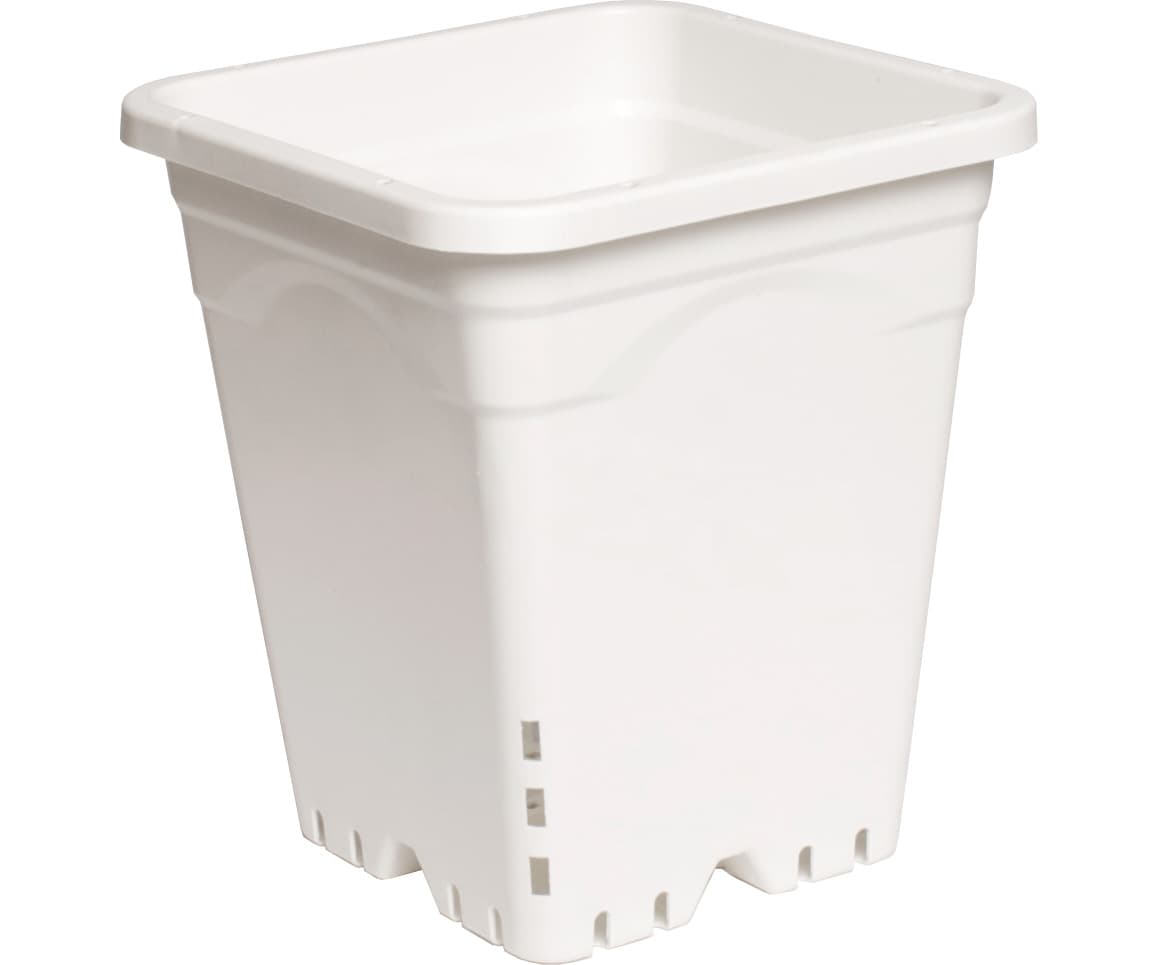 Active Aqua 9" x 9" Square White Pot, 10" Tall, case of 24 — product photo