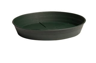 Green Premium Saucer, 10", pack of 25 — product photo