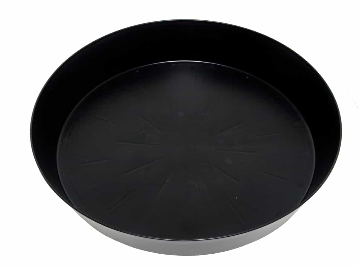 Super-Sized Black Saucer #25, pack of 5